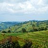 Photo of Wush Wush region of Ethiopia