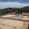 THE COFFEE CLUB CO.</br>Guatemala Huehuetanango</br> 瓜地馬拉, 微微特南果 </br> <sm>Finca La Bolsa </br>波爾莎莊園</sm>：圖片 4
