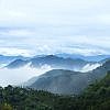 YI PIN COFFEE ESTATE<br>一品咖啡莊園<br>TAIWAN ALISHAN </br>台灣阿里山 <br><small>Water Process<br>水洗處理法</small>：圖片 3